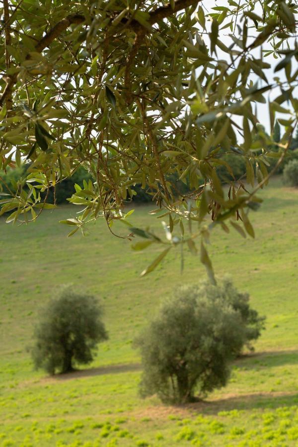 San Rocco Country House Pesaro Exteriér fotografie