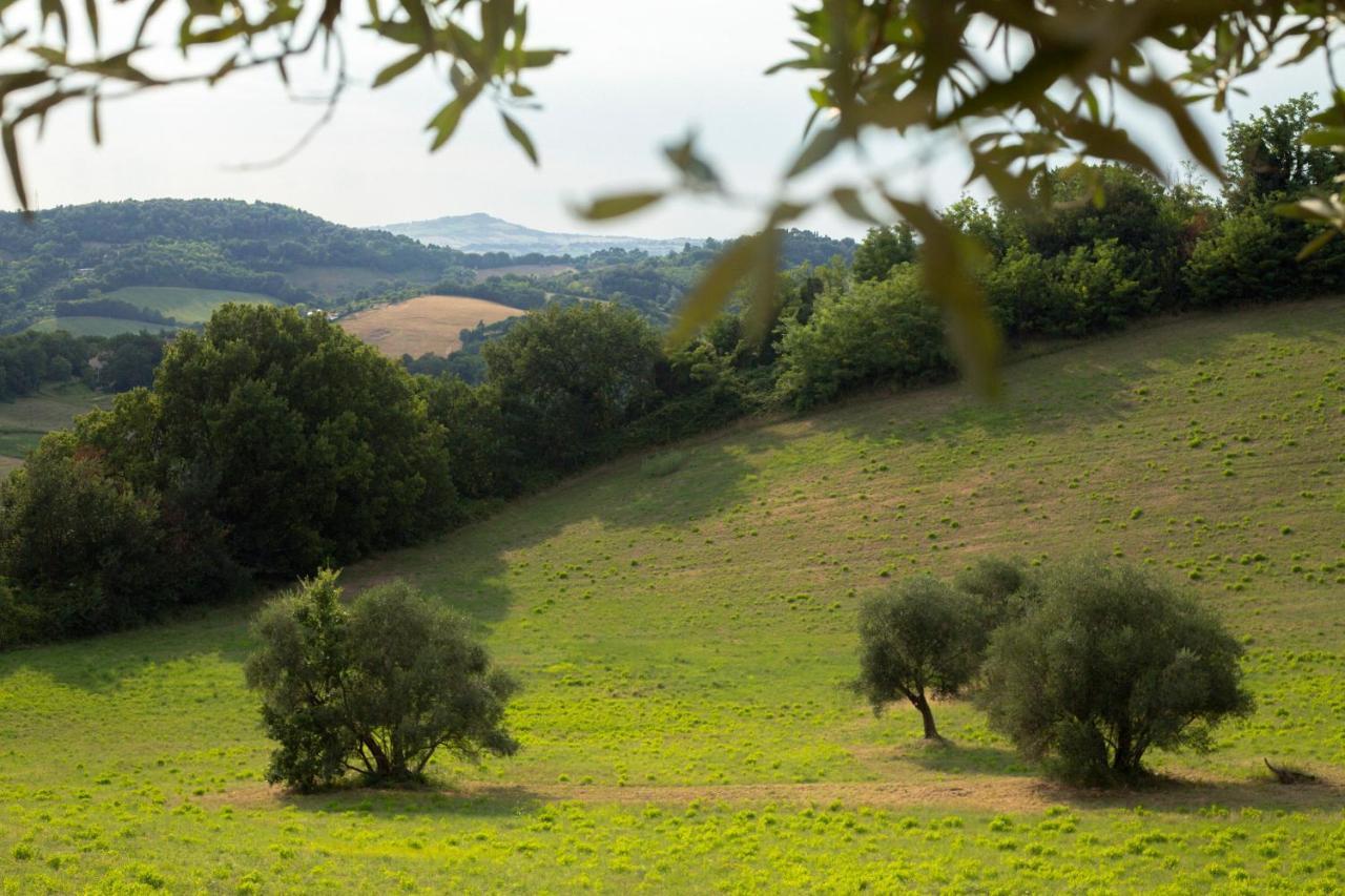 San Rocco Country House Pesaro Exteriér fotografie